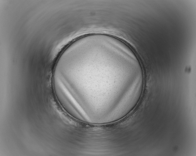 X0000111041507200907091556