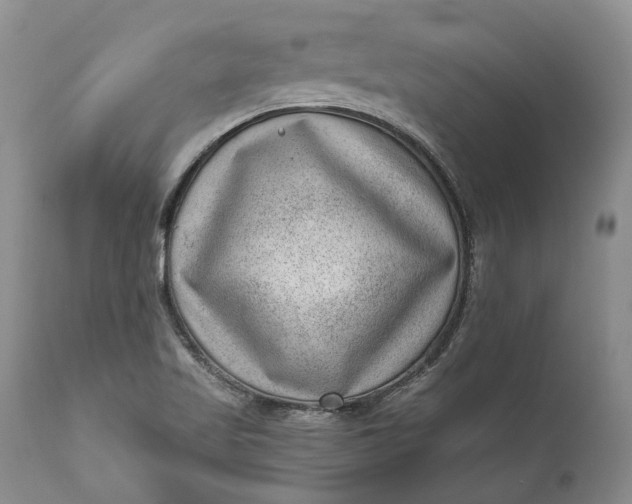 X0000111041509200907091556