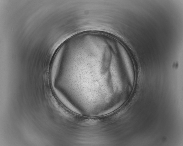 X0000111041513200907091556