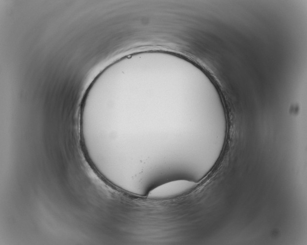 X0000111041516200907091556