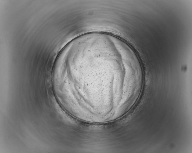 X0000111041521200907091556