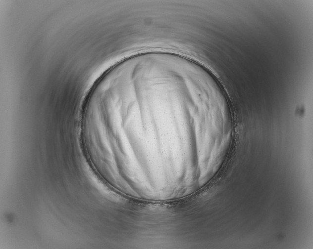 X0000111041523200907091557