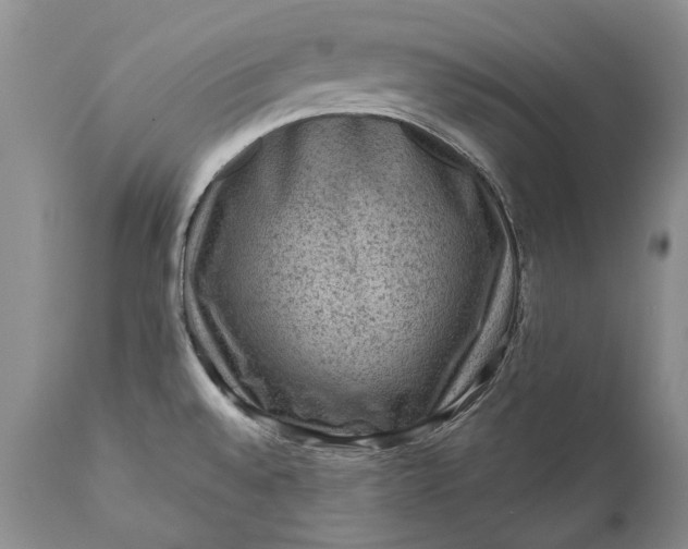 X0000111041528200907091557