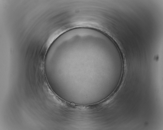 X0000111041529200907091557