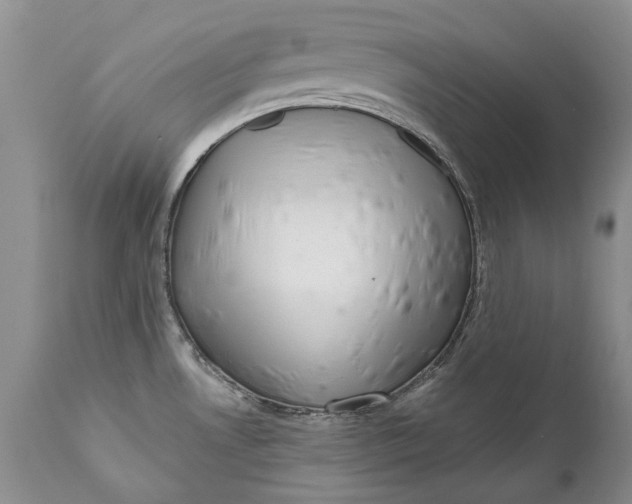 X0000111041530200907091557