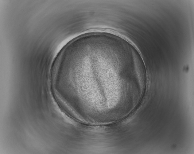 X0000111041533200907091557