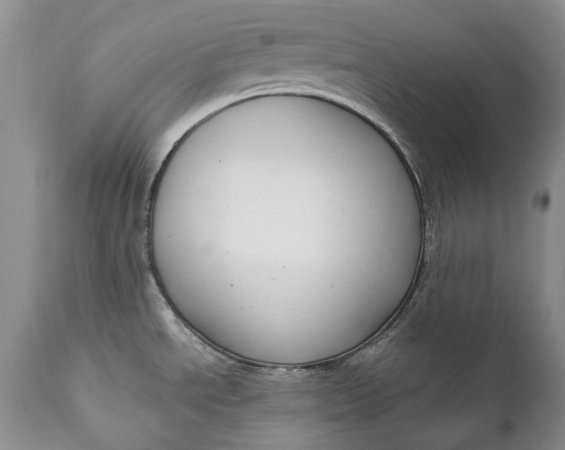 X0000111041534200907091557