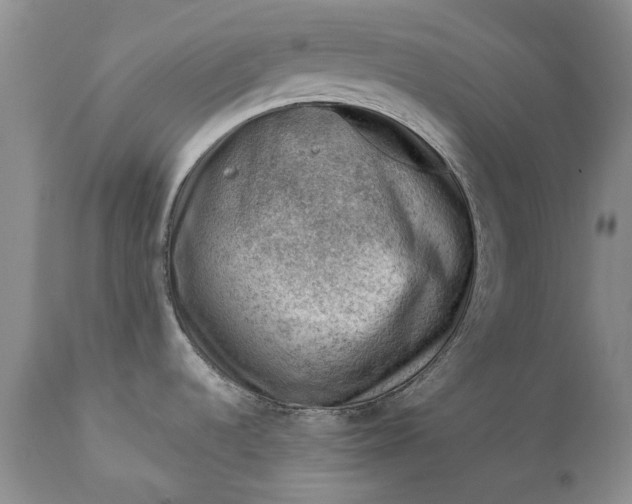 X0000111041536200907091557