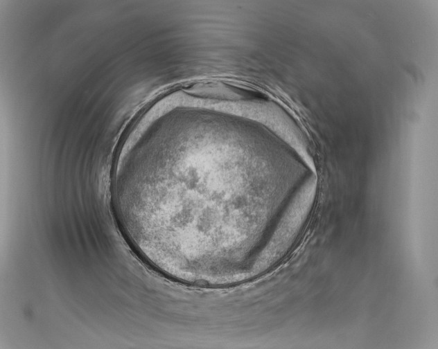 X0000111040002200907161354