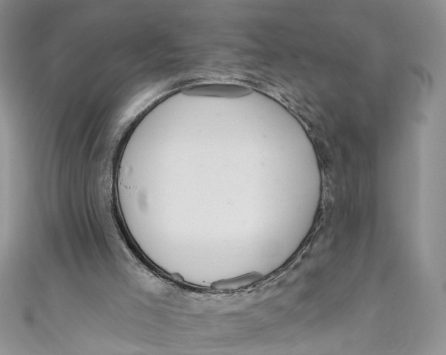 X0000111040005200907161354