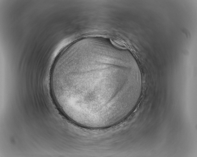 X0000111040006200907161354