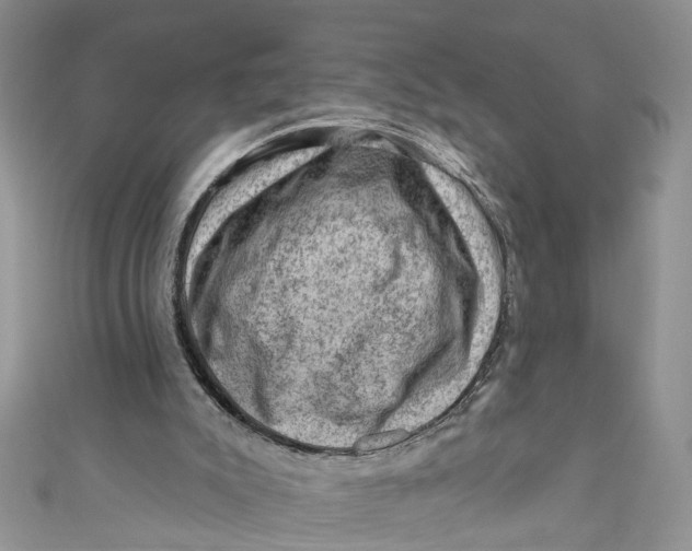 X0000111040007200907161354