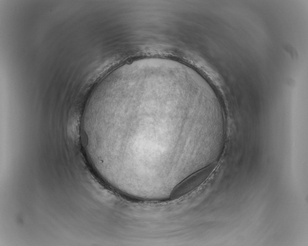 X0000111040009200907161354