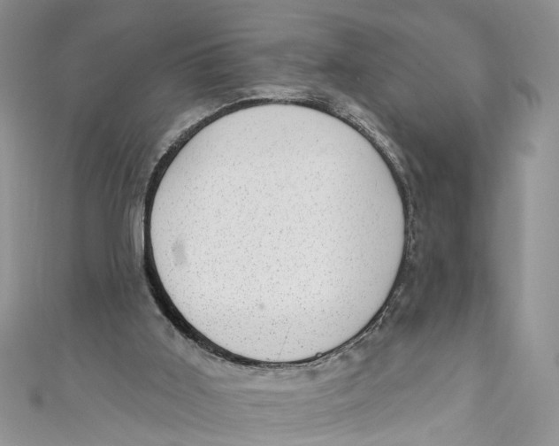 X0000111040011200907161354