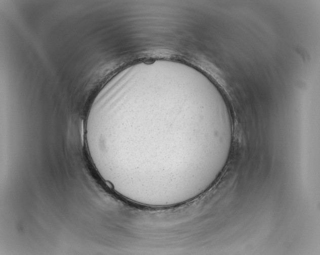 X0000111040013200907161354