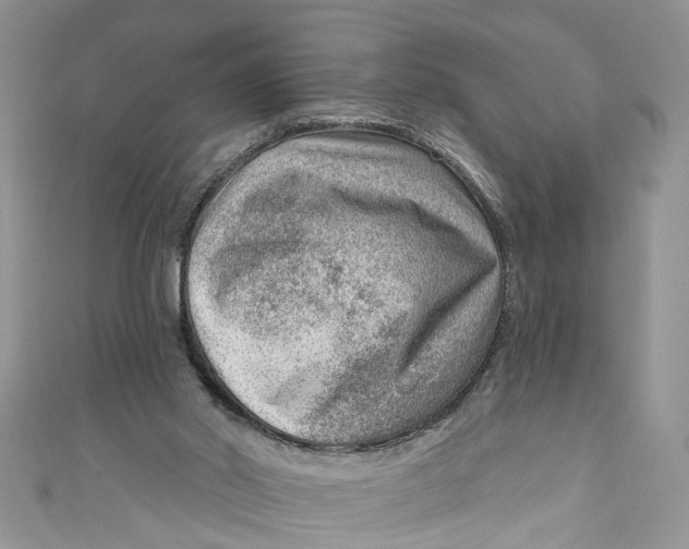 X0000111040014200907161354