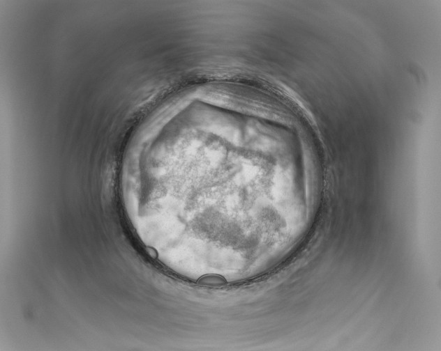 X0000111040018200907161354