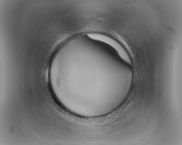 X0000111040019200907161354