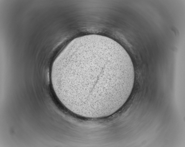 X0000111040020200907161354