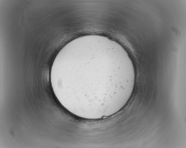 X0000111040021200907161354