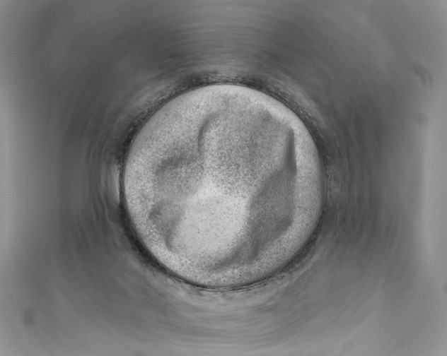 X0000111040022200907161354