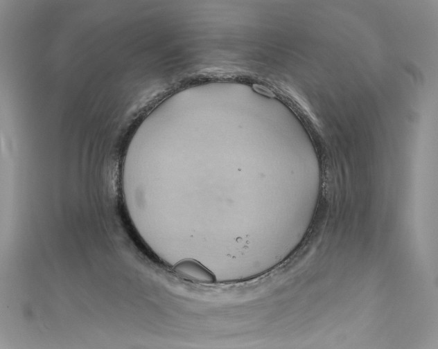 X0000111040023200907161354