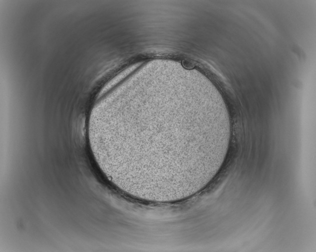 X0000111040024200907161354