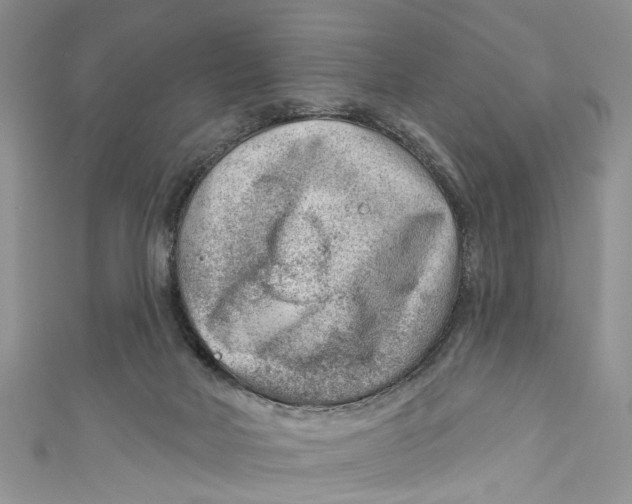 X0000111040026200907161354