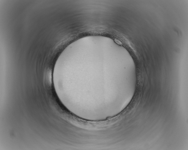 X0000111040027200907161354