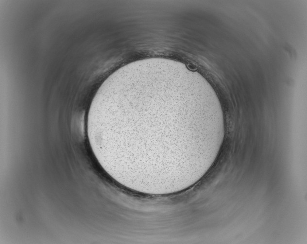 X0000111040028200907161354