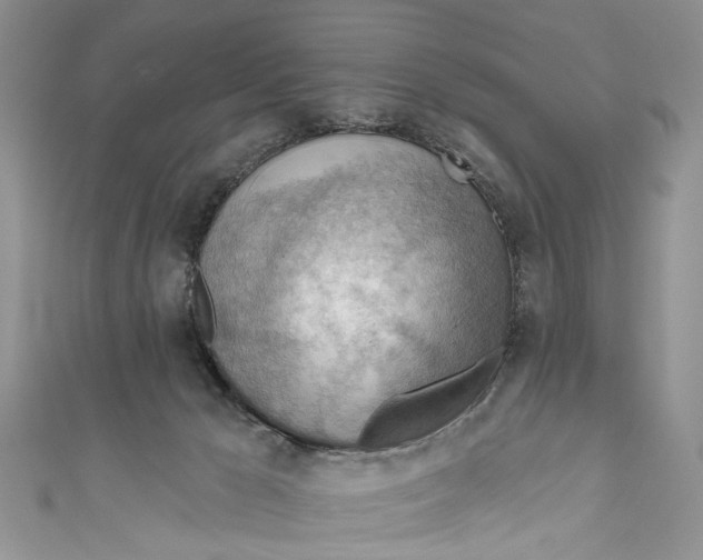 X0000111040029200907161354