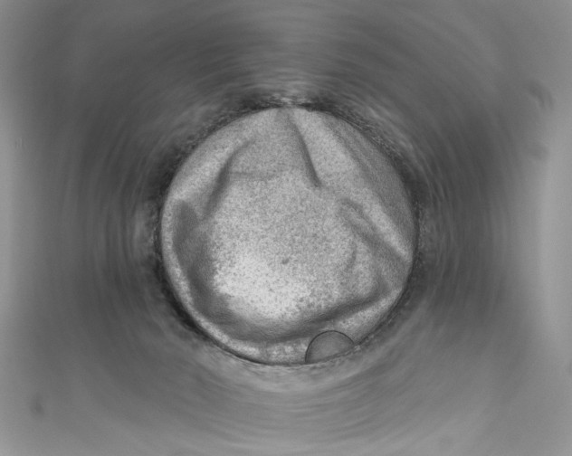 X0000111040030200907161354