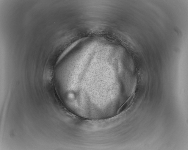 X0000111040033200907161354