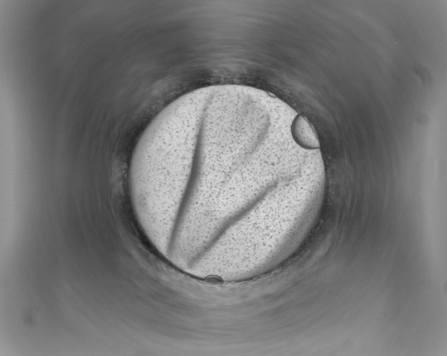 X0000111040038200907161353