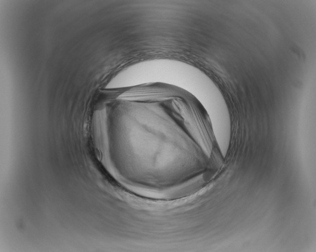 X0000111040039200907161353