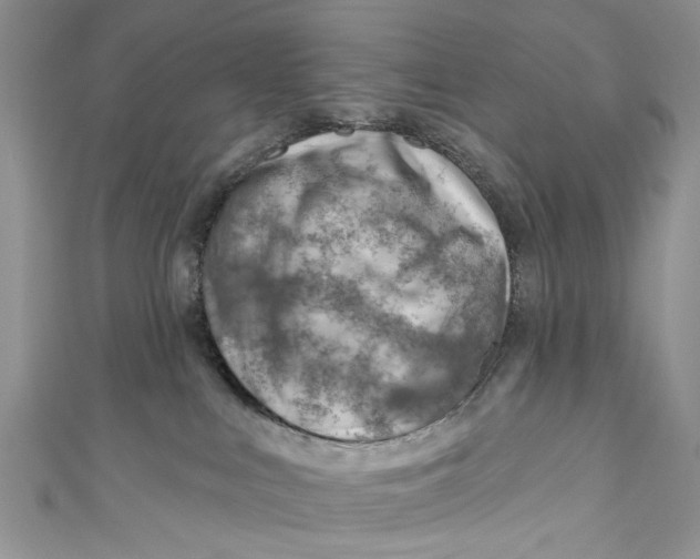 X0000111040043200907161353