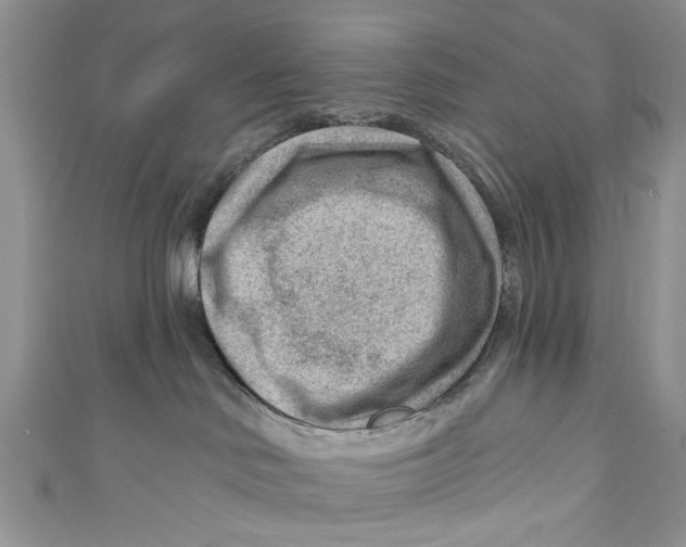 X0000111040046200907161353