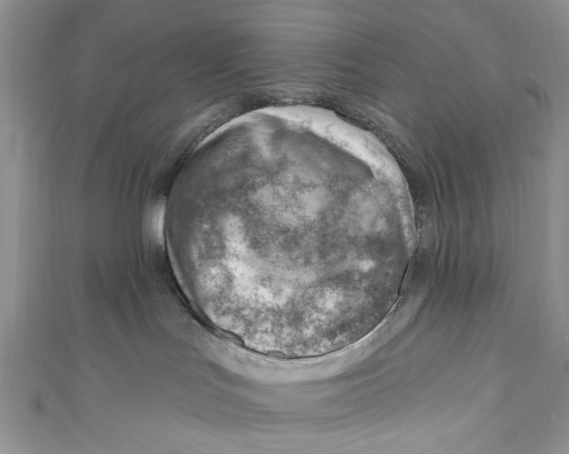 X0000111040047200907161353