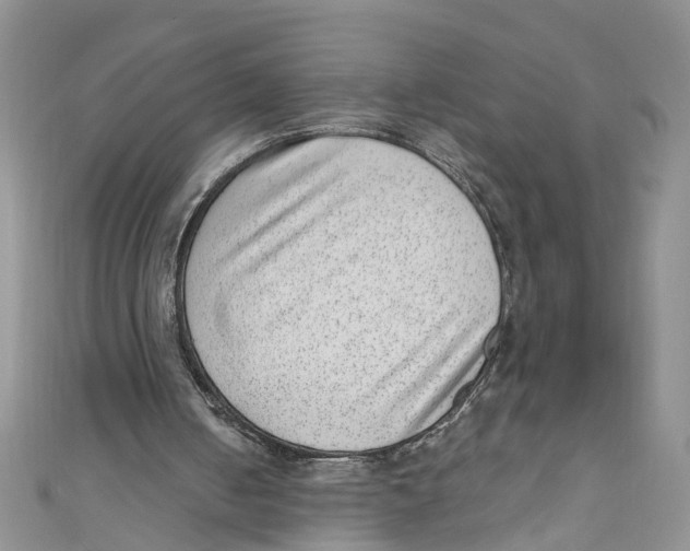 X0000111040050200907161353