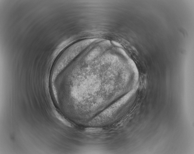 X0000111040051200907161353