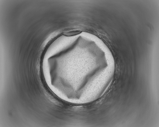 X0000111040054200907161353