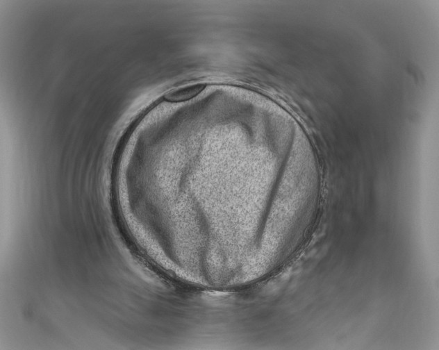 X0000111040055200907161353