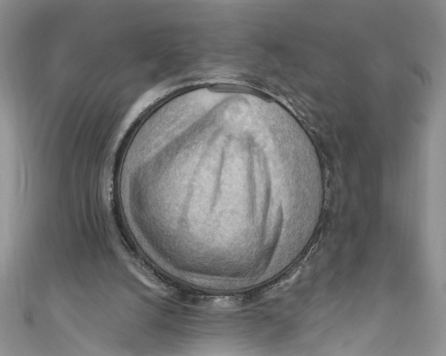 X0000111040056200907161353