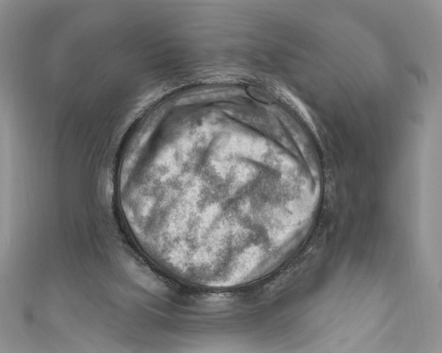 X0000111040059200907161353