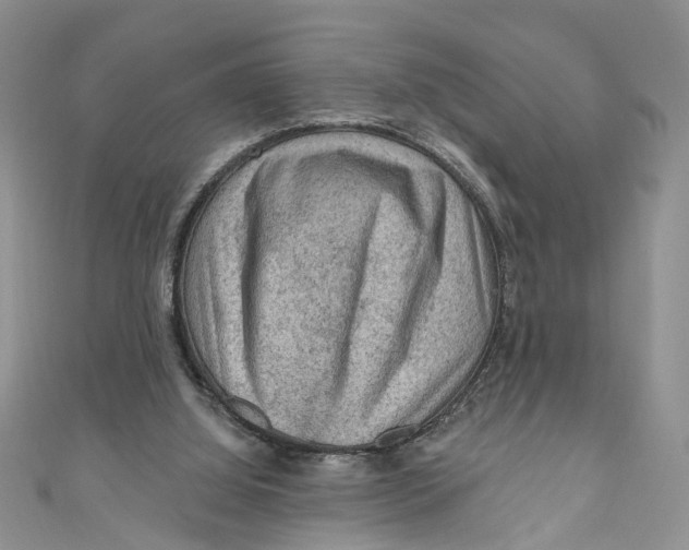 X0000111040060200907161353