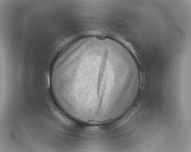 X0000111040061200907161353