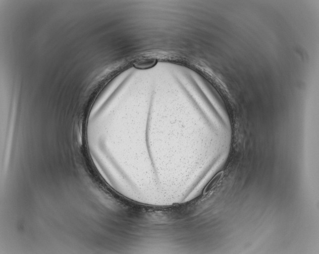 X0000111040062200907161353