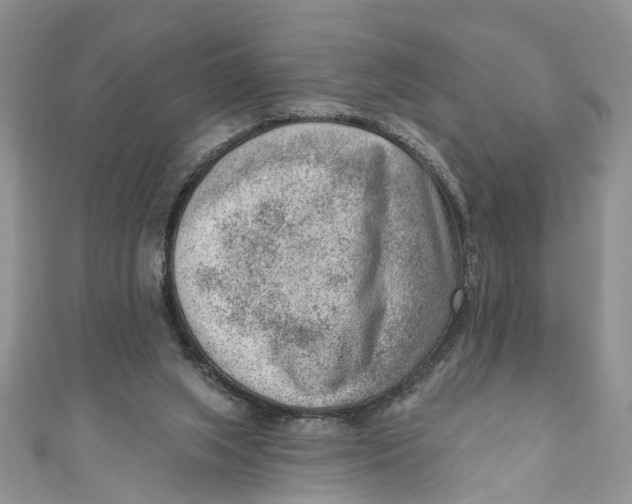 X0000111040063200907161353