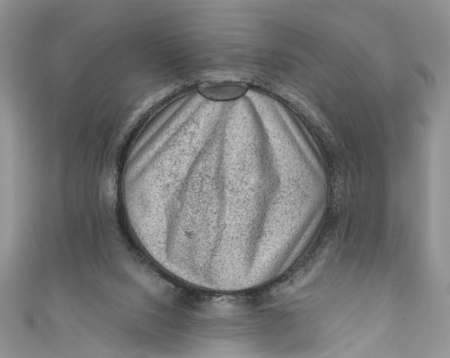 X0000111040064200907161353