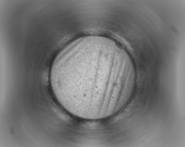 X0000111040065200907161353